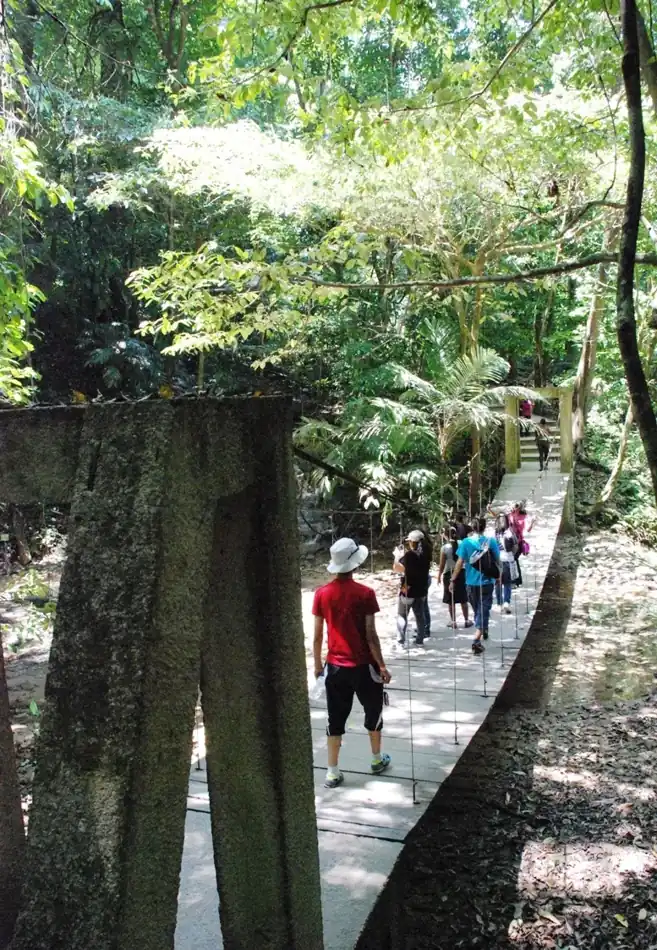 Visitantes caminando por un sendero rodeado de árboles